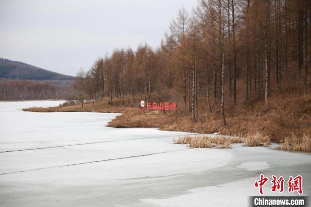 “南蟹北养”助力共富 浙江湖州大闸蟹“游”入长白山