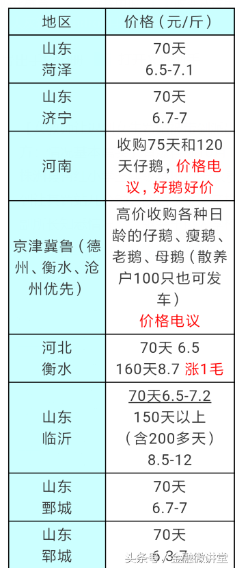 家庭创业好项目——养鹅真的可以年入数十万