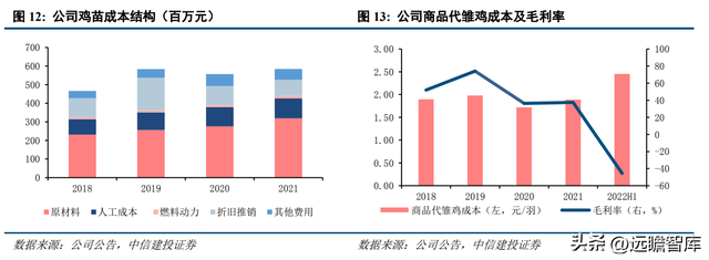 专注白鸡养殖，民和股份：景气上行，商品代雏鸡业务蓄势待发