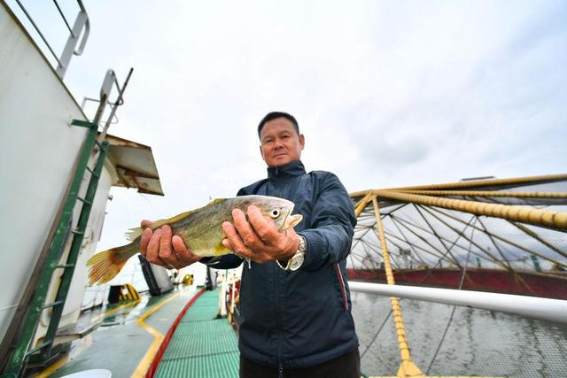 鱼丰景美海常蓝，福建“耕海牧渔”新气象