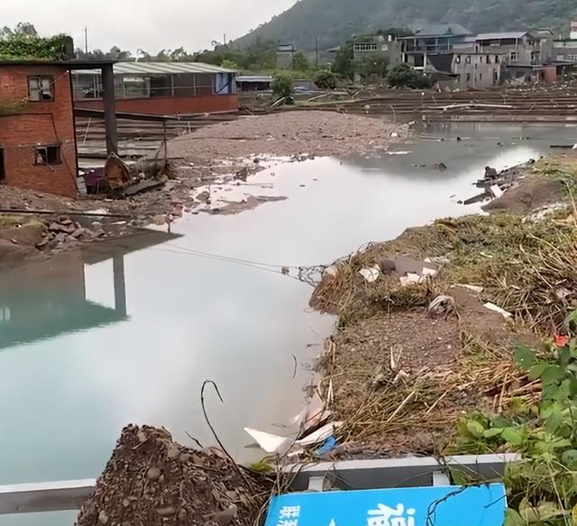 福州暴雨冲跑养殖场300池兰寿金鱼，5、6年辛苦付之一炬