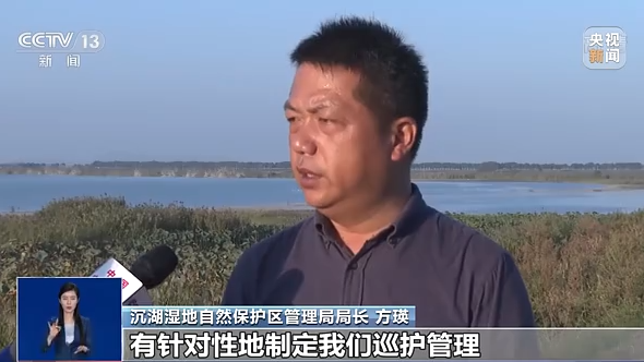 一问到底丨湿地何以成为“大地之肾”？我们应如何保护湿地？