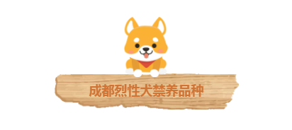 成都人！16日起开始收容禁养犬，一文看懂养狗攻略