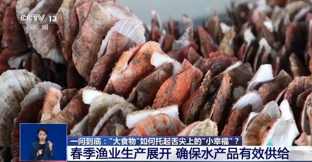 “大食物”如何托起舌尖上“小幸福”？水产养殖产业这样发展