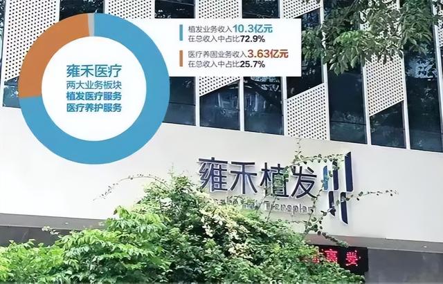 一口价头“顶”20万的植发生意 雍禾医疗一年亏了8500万元