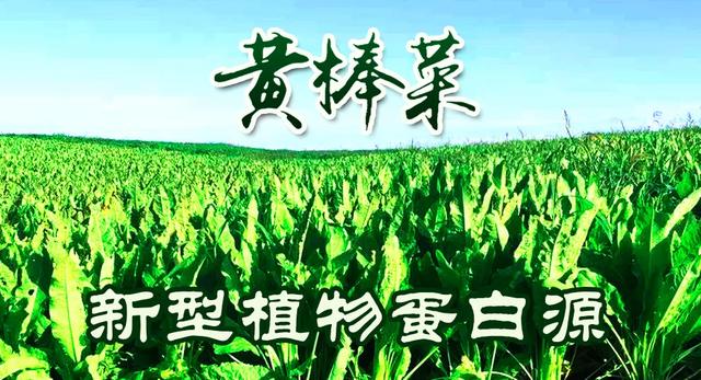 疫情后骗子也复工了，这6大养殖骗局，千万别碰