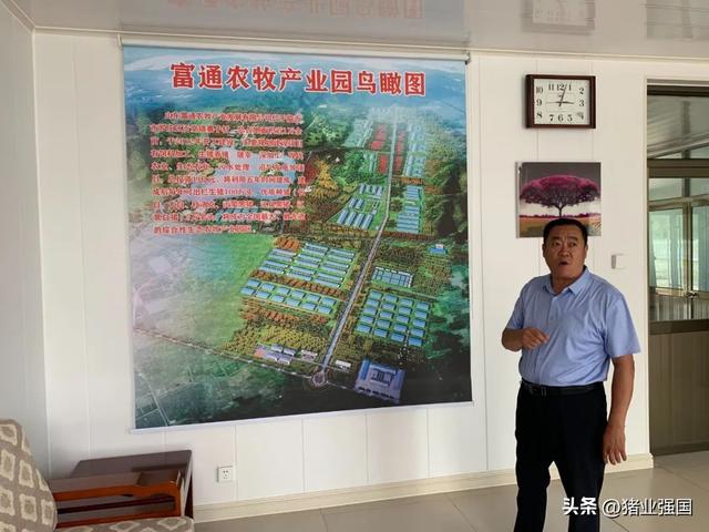 山东富通农牧：打造30万头生猪产业链，万亩绿地打造种业高地