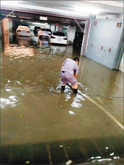 车牌充气娃娃和锦鲤 大雨后西安曾经从“海”底捞出过啥？