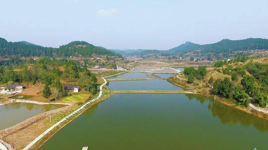 40名大学生回乡搞养殖 建西南最具规模龙虾基地