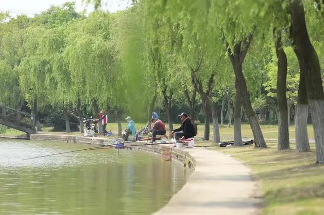 限时打卡！太太太美了，油画般的稻田就藏在这里~