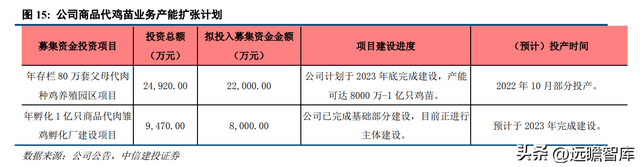 专注白鸡养殖，民和股份：景气上行，商品代雏鸡业务蓄势待发