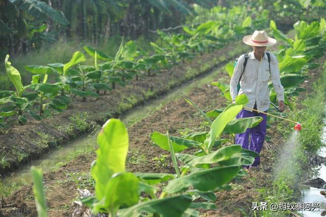 央视的这套节目，到底是致富经还是“致负经”？为啥农民一试就赔