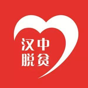 「媒体聚焦」略阳乌鸡成为群众致富“金凤凰”