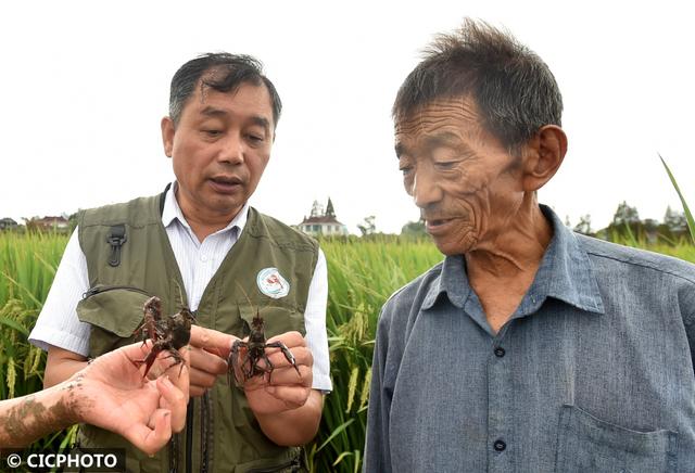 多种养殖助增收