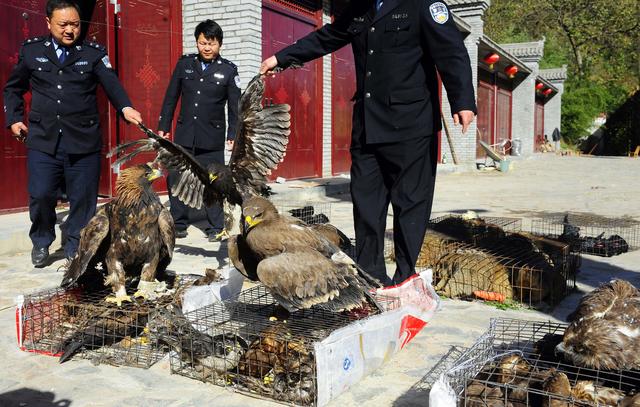 这是它们的再次提醒：没有买卖就没有伤害