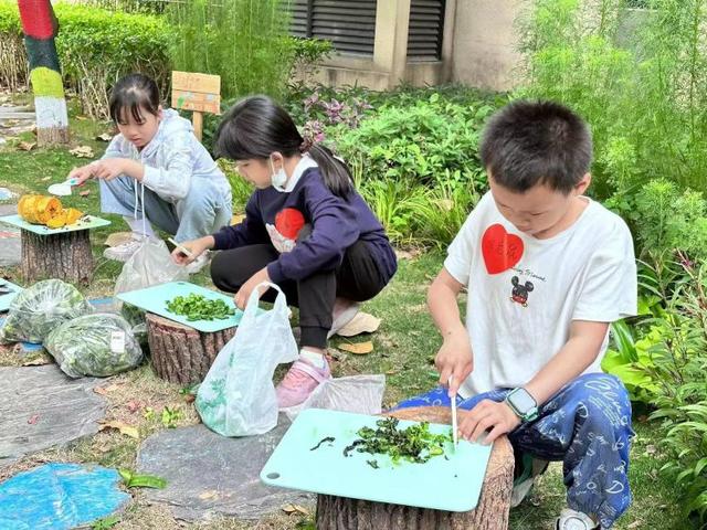 亲子家庭共建趣味乐园！光明街道趣香园迎来新朋友