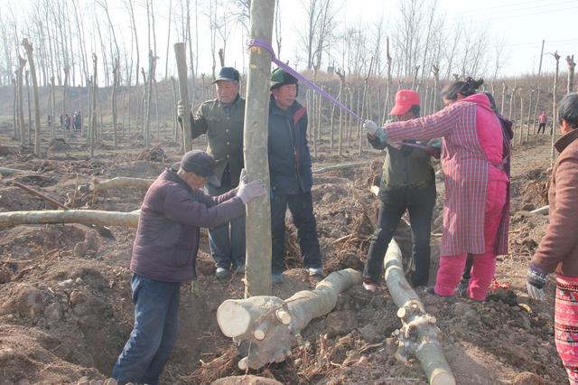 种植、养殖和打工，谁赚钱比较容易，你会选择哪一条路