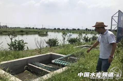 加纯氧，建跑道，浙江“鱼塘博士”让鱼儿晚上也不会厌食