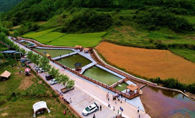 【畅游十有武山·同庆国庆佳节】武山：产业发展劲头足 县域经济“加速跑”