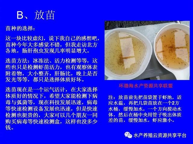 纯干货：南美白对虾工厂化养殖技术大全