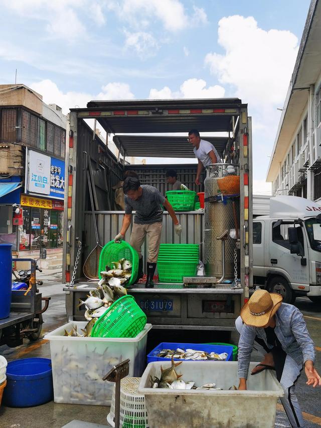 去珠海吃海鲜，哪里便宜又实惠，而且种类还有很多选择？