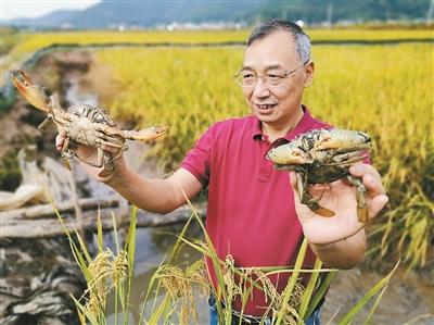 本土水产养殖跨域协作做强“蓝色粮仓”