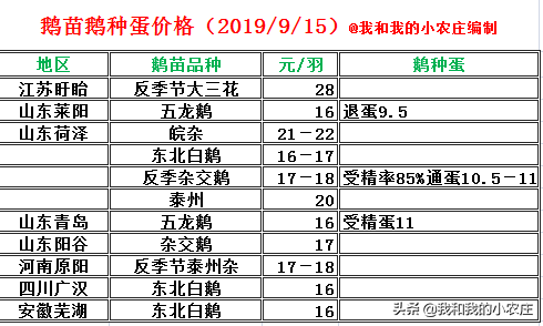 养鹅行业利润分配的失衡，不用多久，必将带来新一轮的利益洗牌