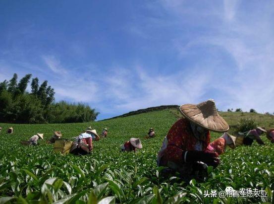 对不起，那些挣大钱的“致富经”项目我已经不信了