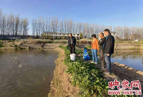 河南省水产科学研究院到西平县开展鲈鱼养殖专题调研