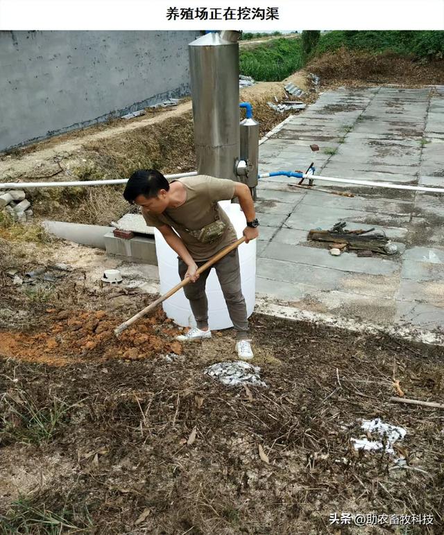 广东鹤山市这个猪场使用微生物技术处理养殖场污水效果好