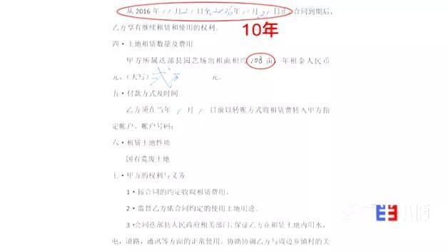 一块地租给三家企业，当地政府却装糊涂！千万投资打了水漂……