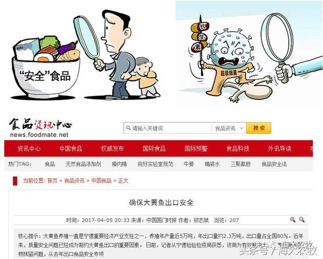 你信不信，饲料养殖将是大黄鱼养殖的唯一出路