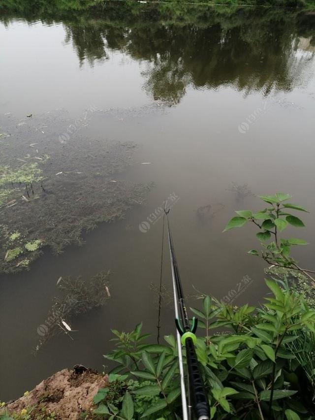 万物复苏鱼儿肥，野河野钓这几个因素要了解