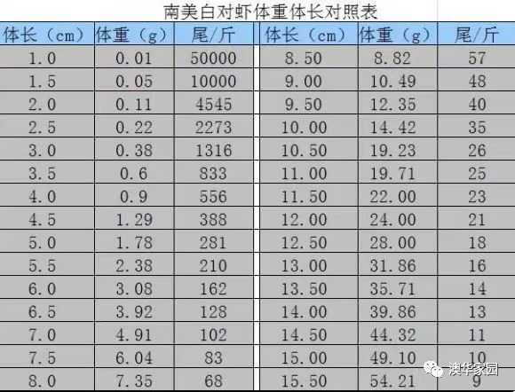 南美白对虾养殖，关于北方小棚标粗模式，你知道多少？