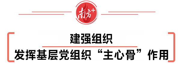 清远：织密建强组织体系，全面推进乡村振兴