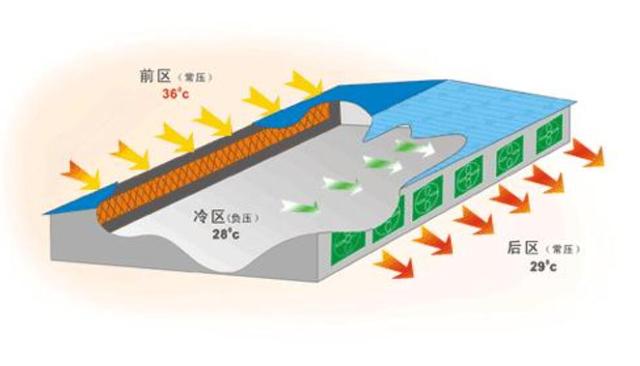 大棚式猪舍，夏季炎热怎么办？物理通风降温设计，实现零能耗