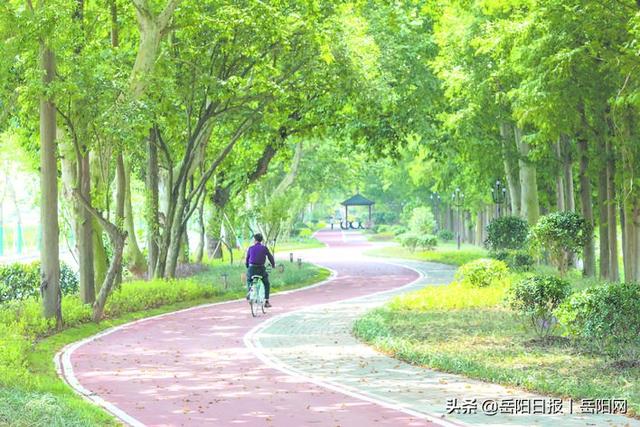 守护好一江碧水，建设精致君山