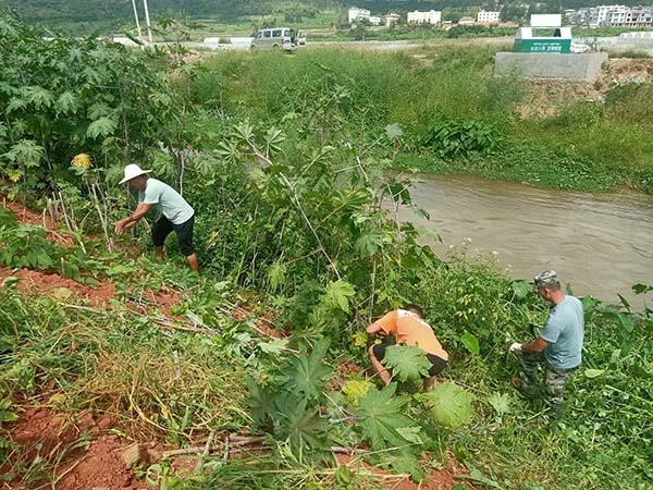 关注｜峨山：强化党建引领，以河长制打好水环境治理持久战