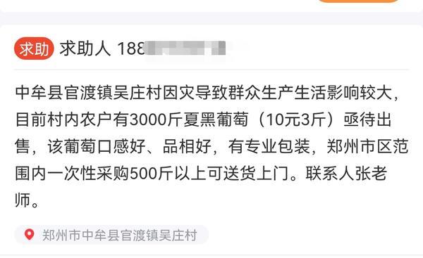 秋天的第一串葡萄，等你带回家！志愿河南供需平台邀您一起为葡萄滞销农户带货