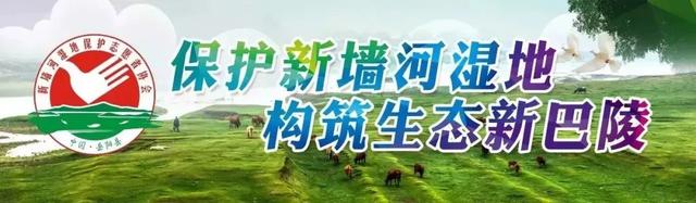 每天一分钟 知晓身边事「11月22日岳阳县新闻」