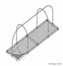 农业部主推技术：池塘鱼菜共生综合种养技术 净化水质有效果