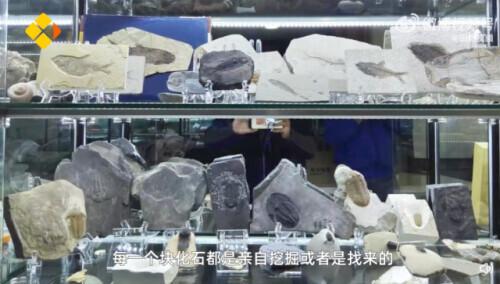 上万件“私人珍藏”被展出，有人见到就怕