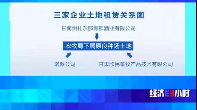 一块地租给三家企业，当地政府却装糊涂！千万投资打了水漂……