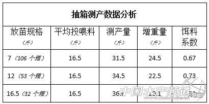 告别鱼糜，让黄鳝养殖从此更轻松！