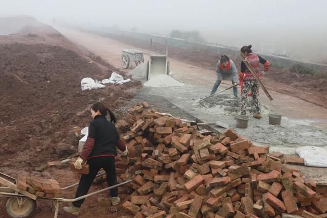 鲈鱼、草鱼、鲢鱼…大河正在建总面积200余亩的养鱼基地！