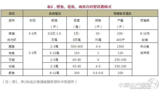 养最便宜的鲤鱼，一个塘还能赚几十上百万的秘诀