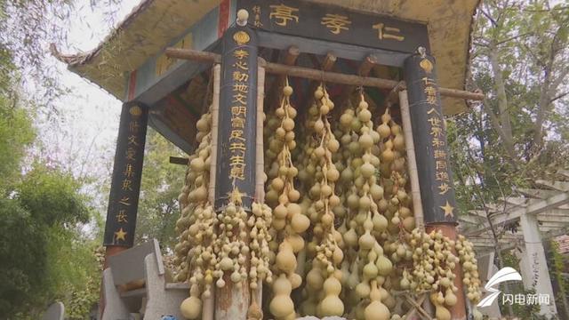 临邑：特色葫芦种植“联姻”文化艺术衍生品 变身致富“宝葫芦”