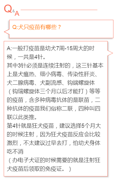 成都人！16日起开始收容禁养犬，一文看懂养狗攻略