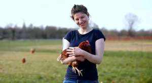 全自动肉鸡笼养殖设备(德国1辆蛋鸡房车是1座鸡场，1年养2500只喂料下蛋全自动，太厉害)