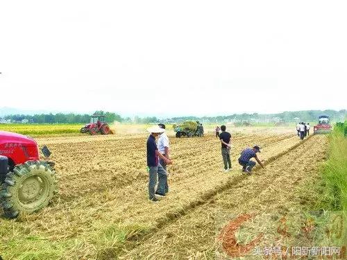 深推农业机械化“万千百工程”—阳新农机化生产助力精准脱贫纪实